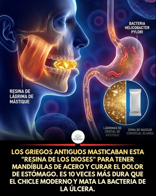 almaciga