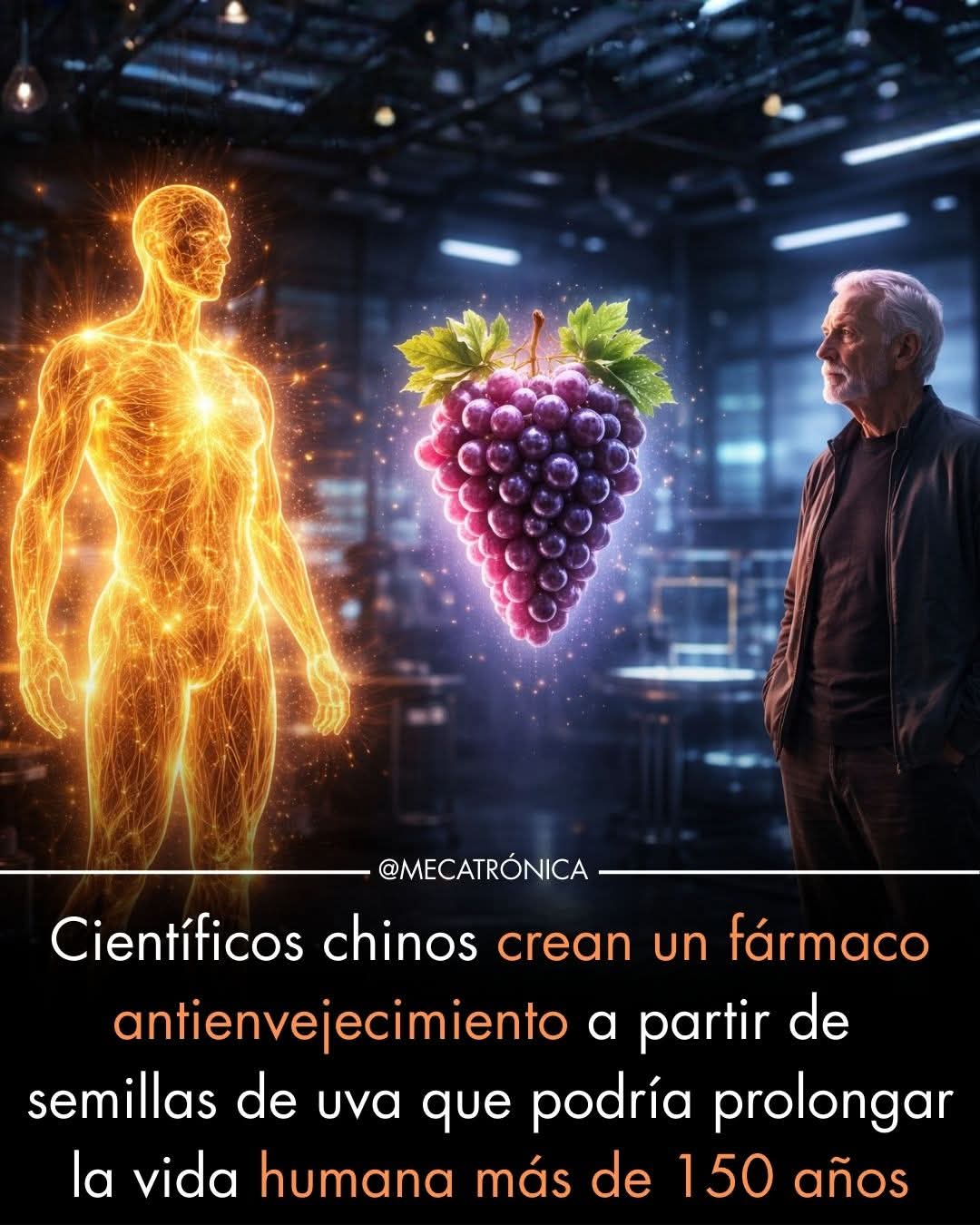 antienvejecimiento, semillas, uva