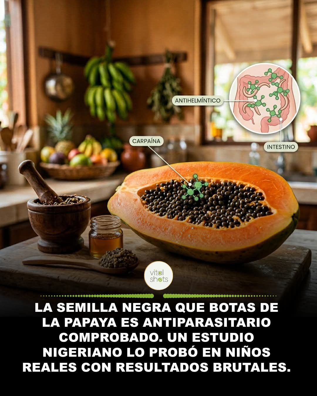 antiparasitario, semilla, papaya