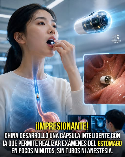 capsula, inteligente, estomago