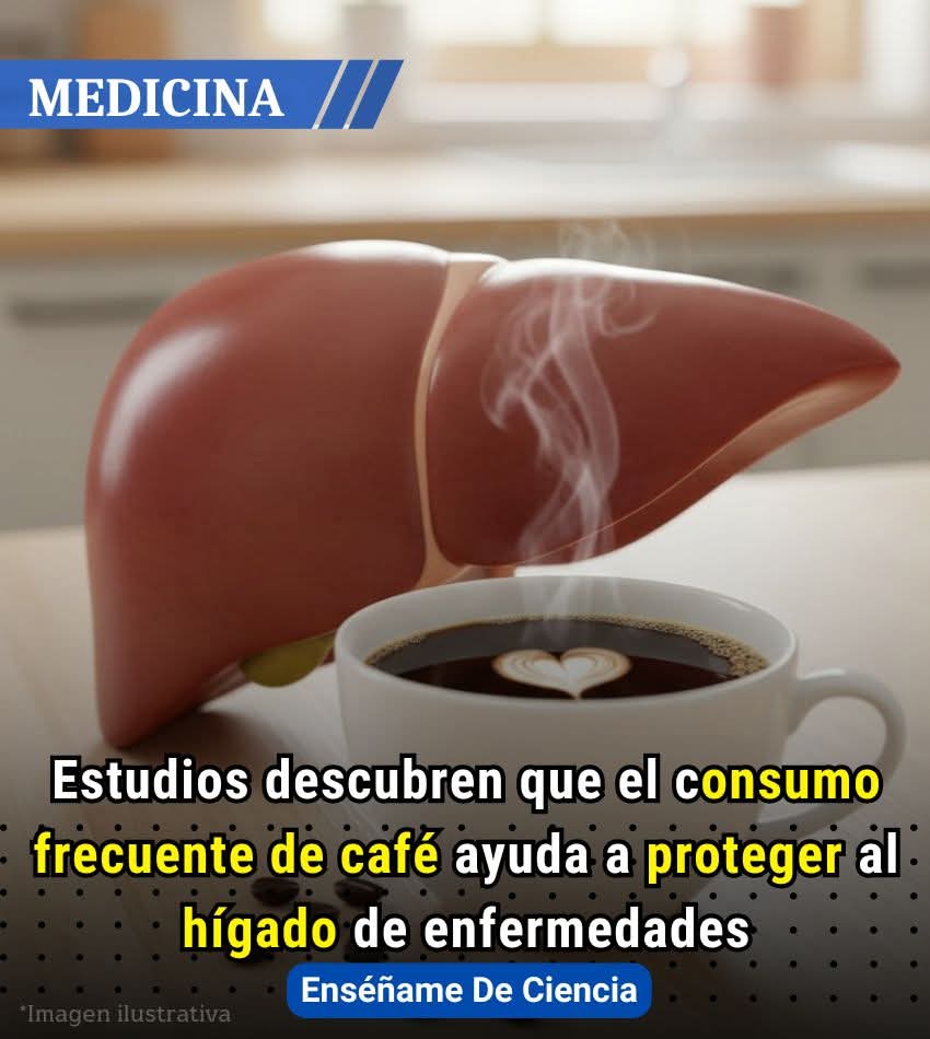 cafe, higado