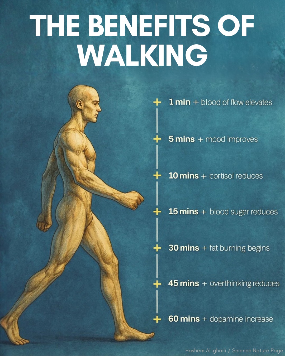 caminar