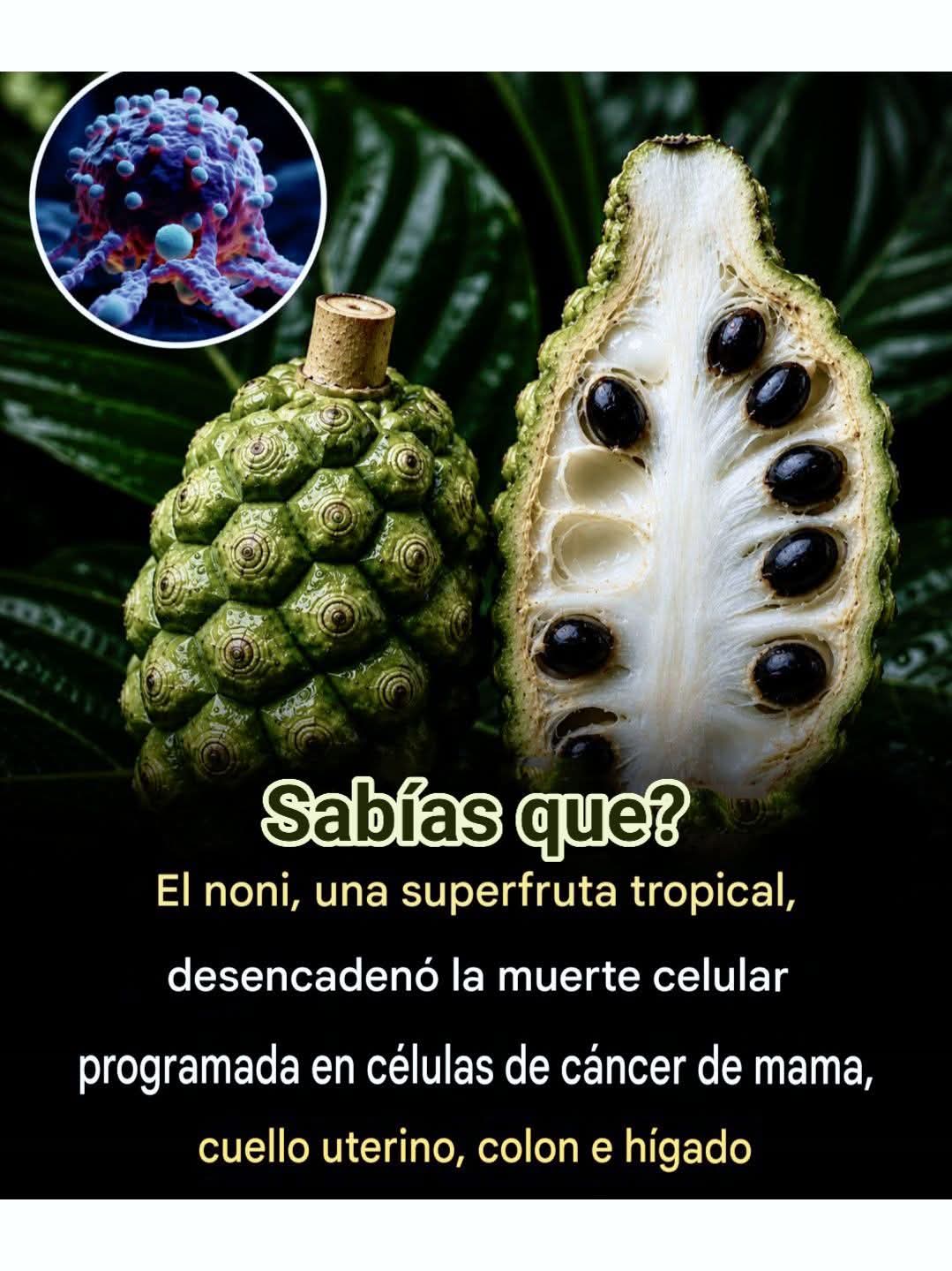 cancer, noni