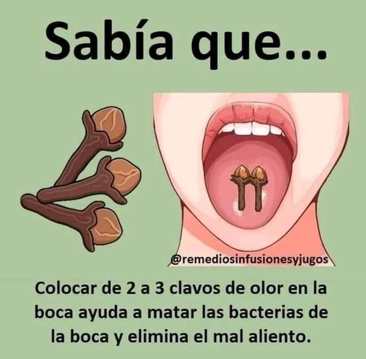 clavo, olor