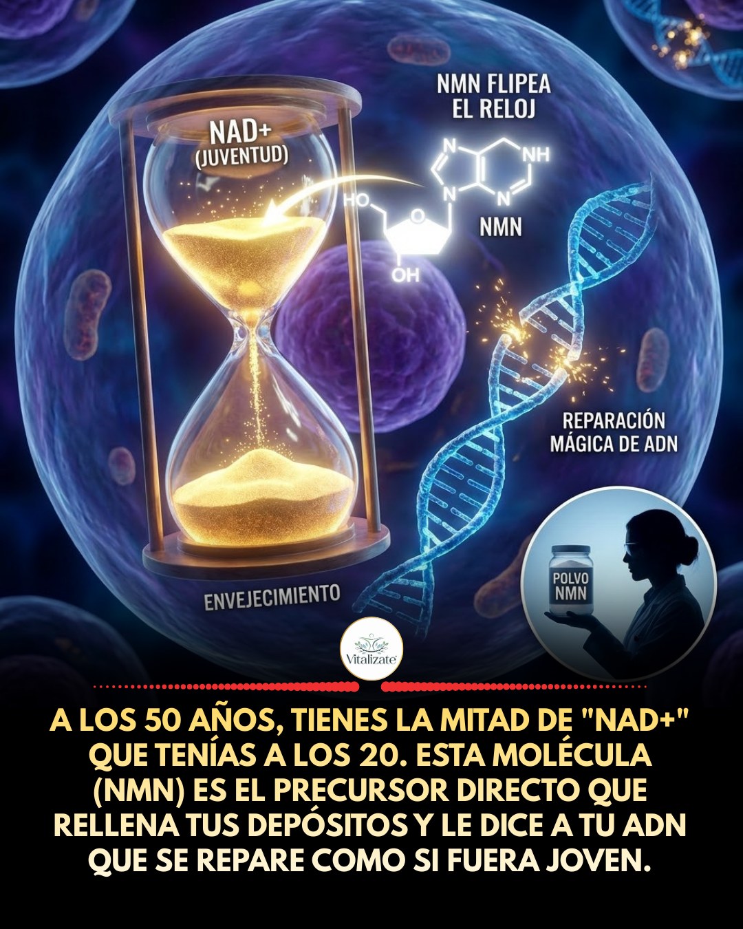 envejecimiento, nmn