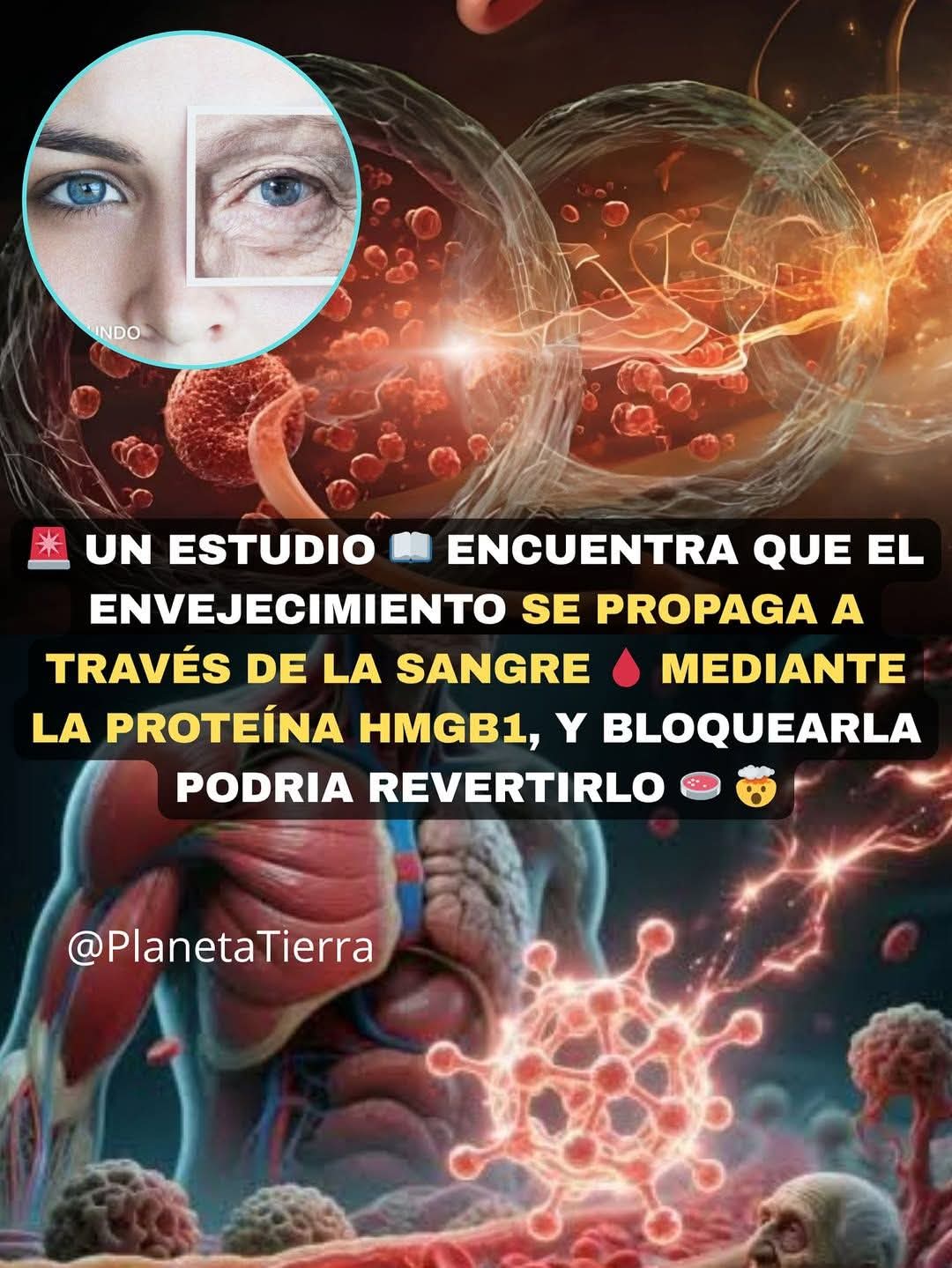 envejecimiento