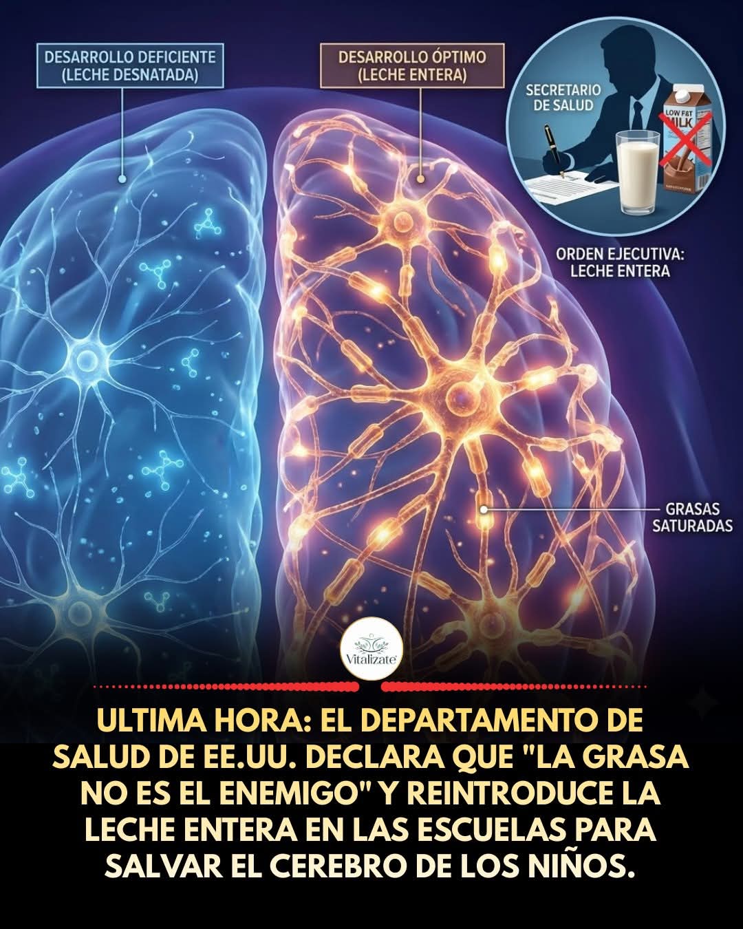 grasa
