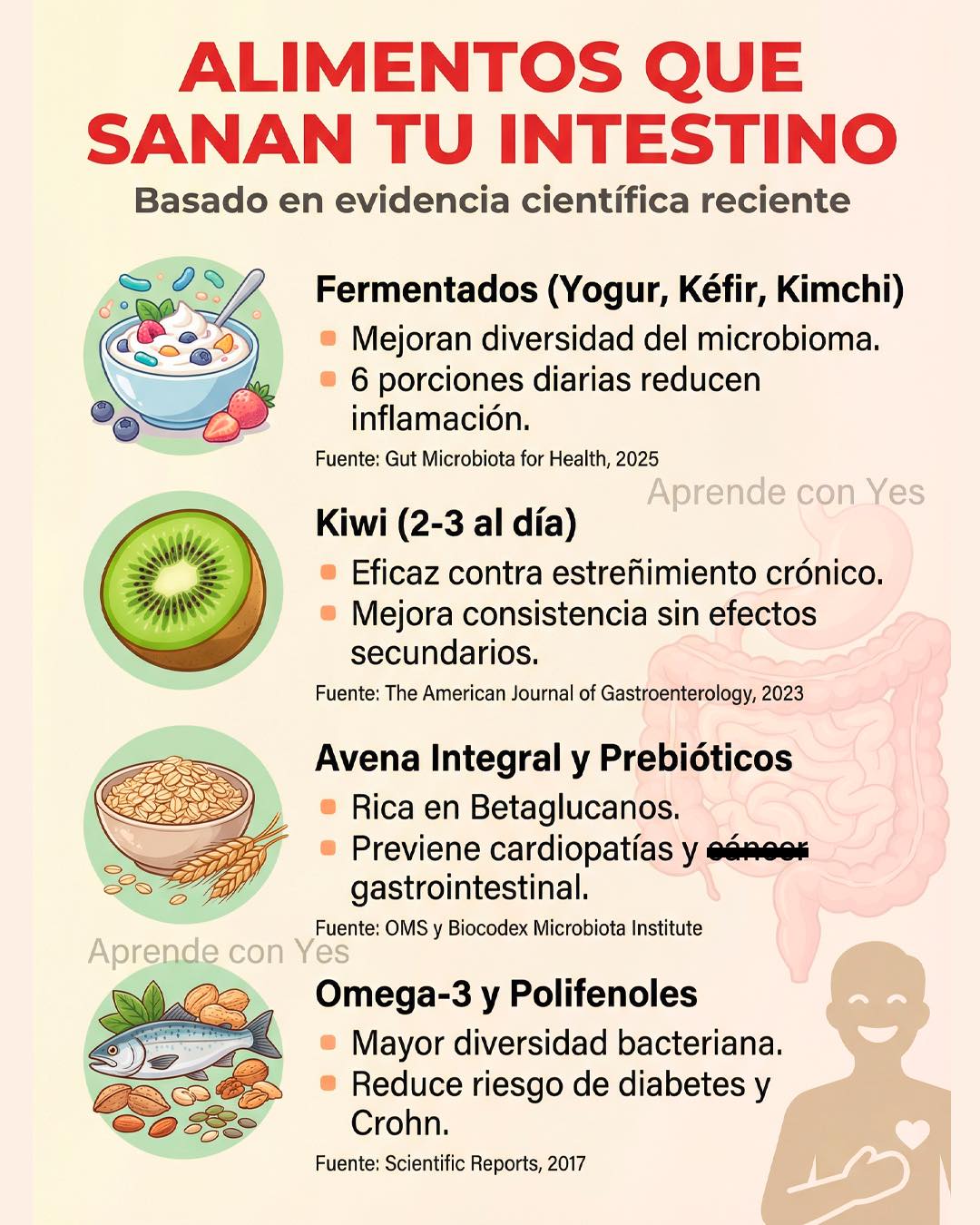 intestino