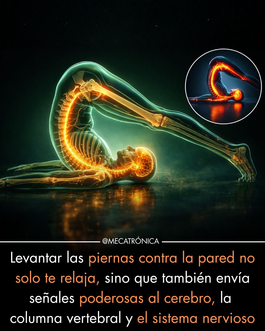 levantar, piernas