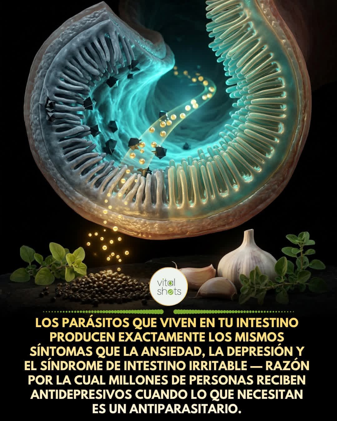 parasitos, depresion