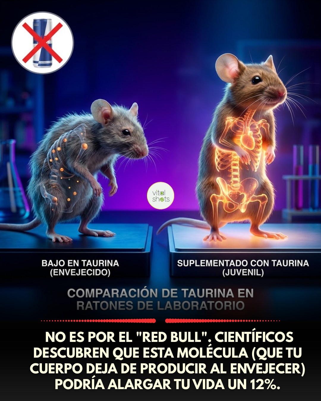 taurina