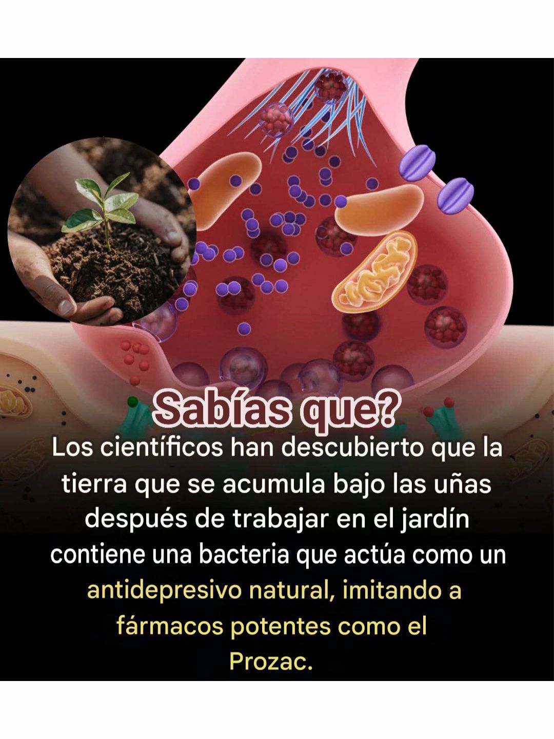 tierra, antidepresivo