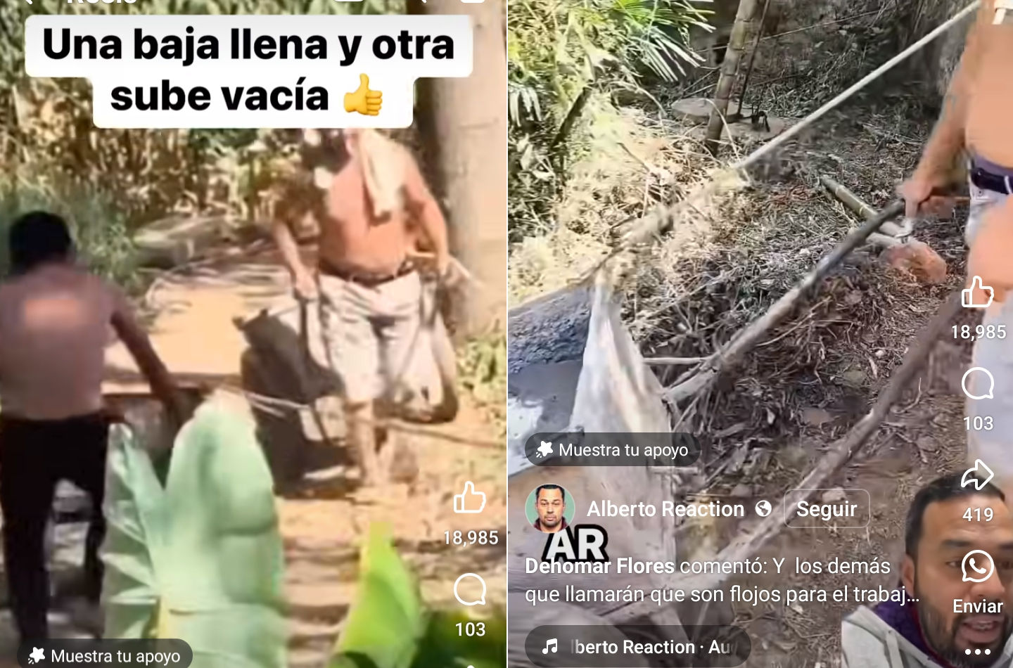 carretilla, poleas