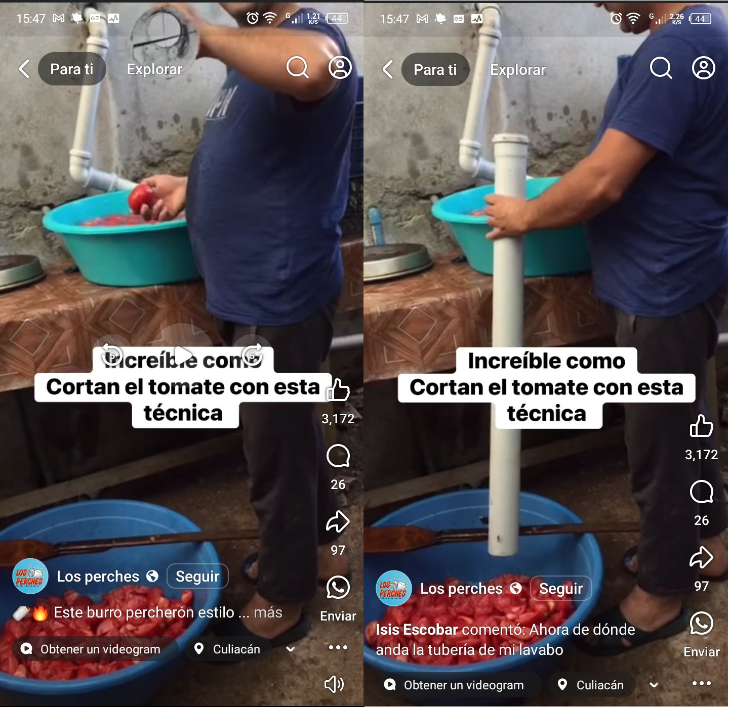 cortar, tomate