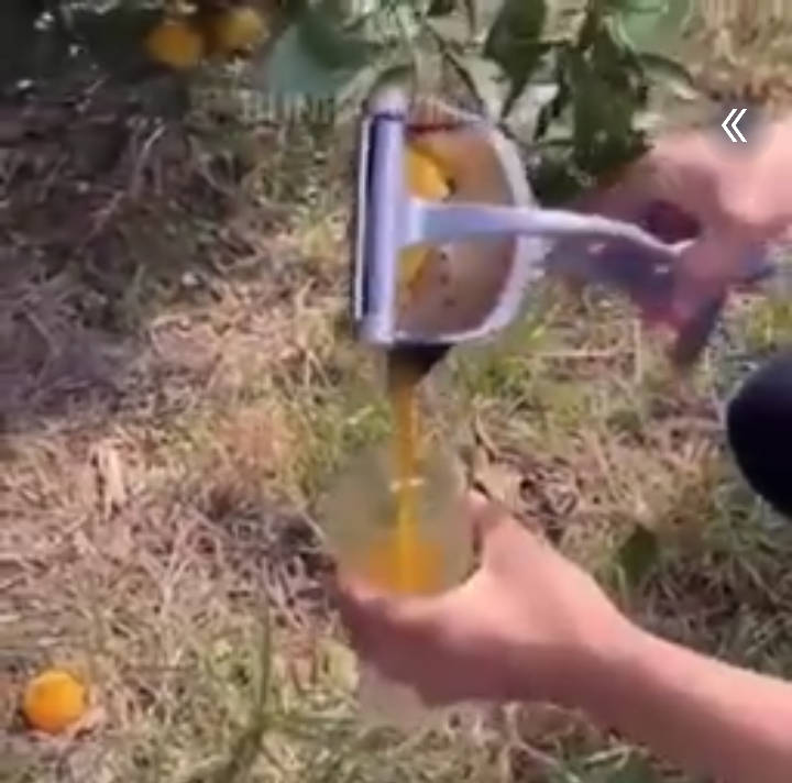 exprimidor, naranja