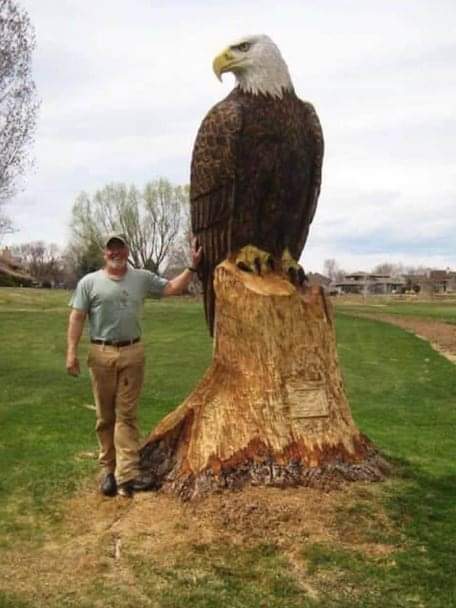 aguila, madera