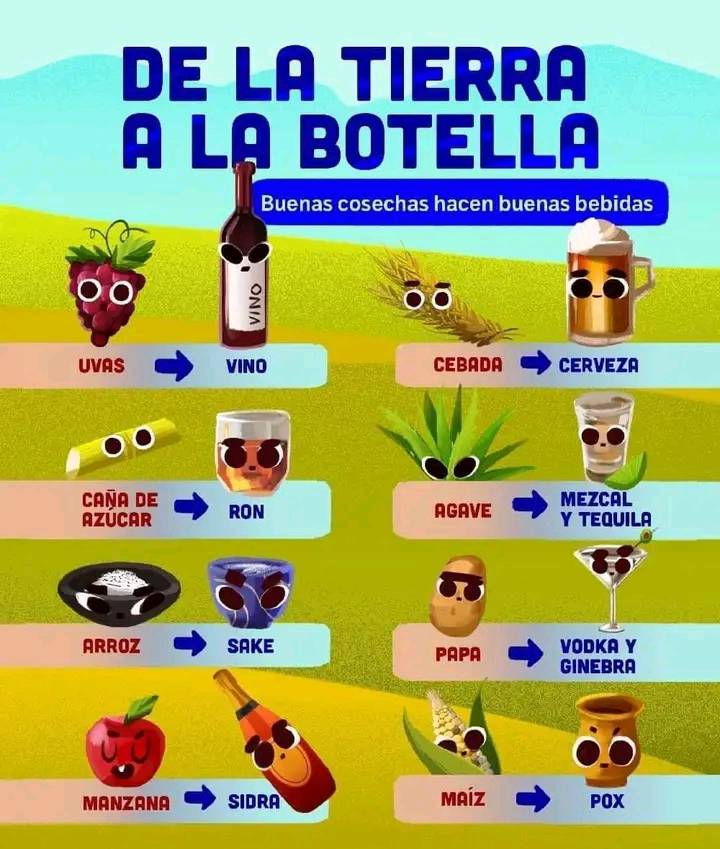 alcohol, origen