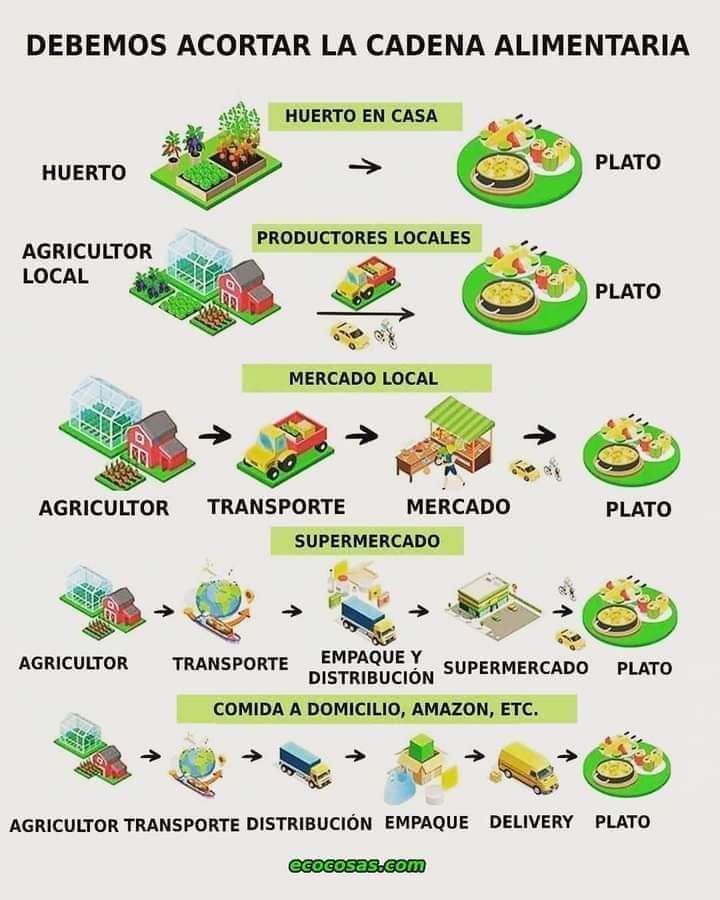 cadena, alimentaria
