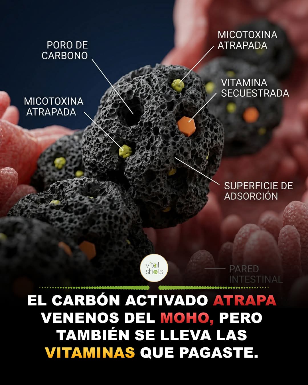 carbon, activado