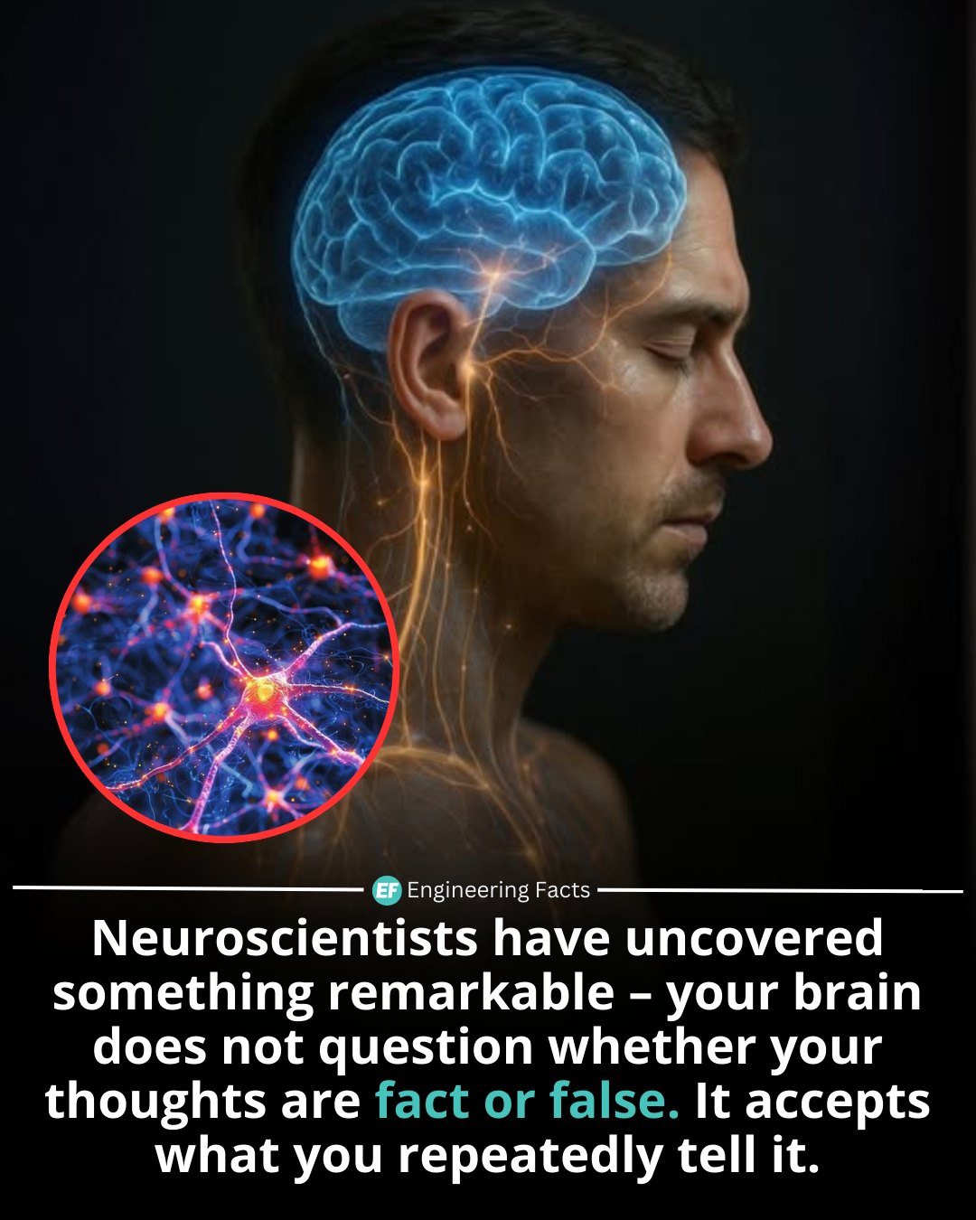 cerebro