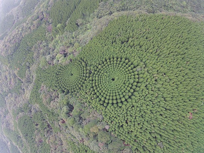 circulos