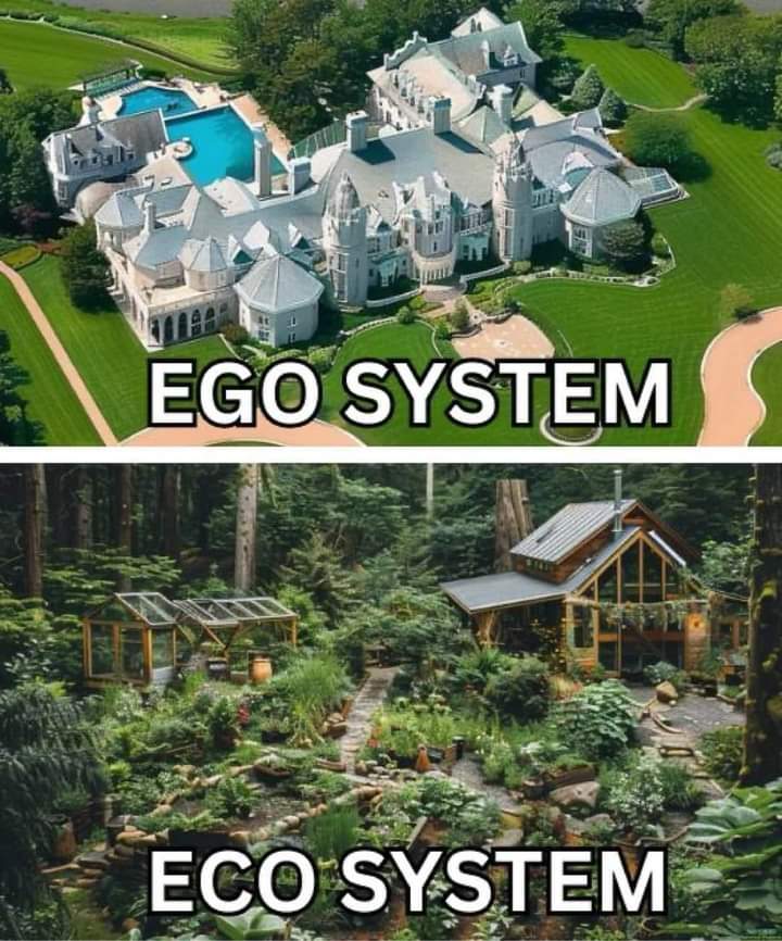ecosistema