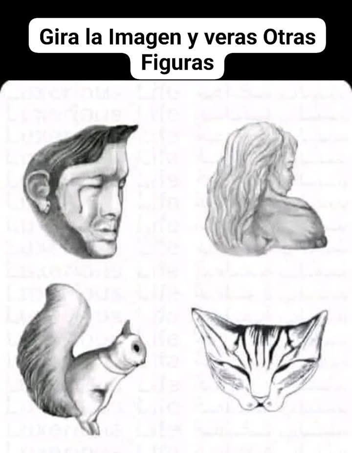 imagen, girar