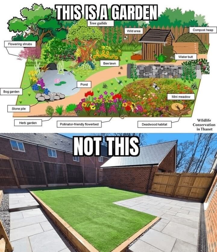 jardin