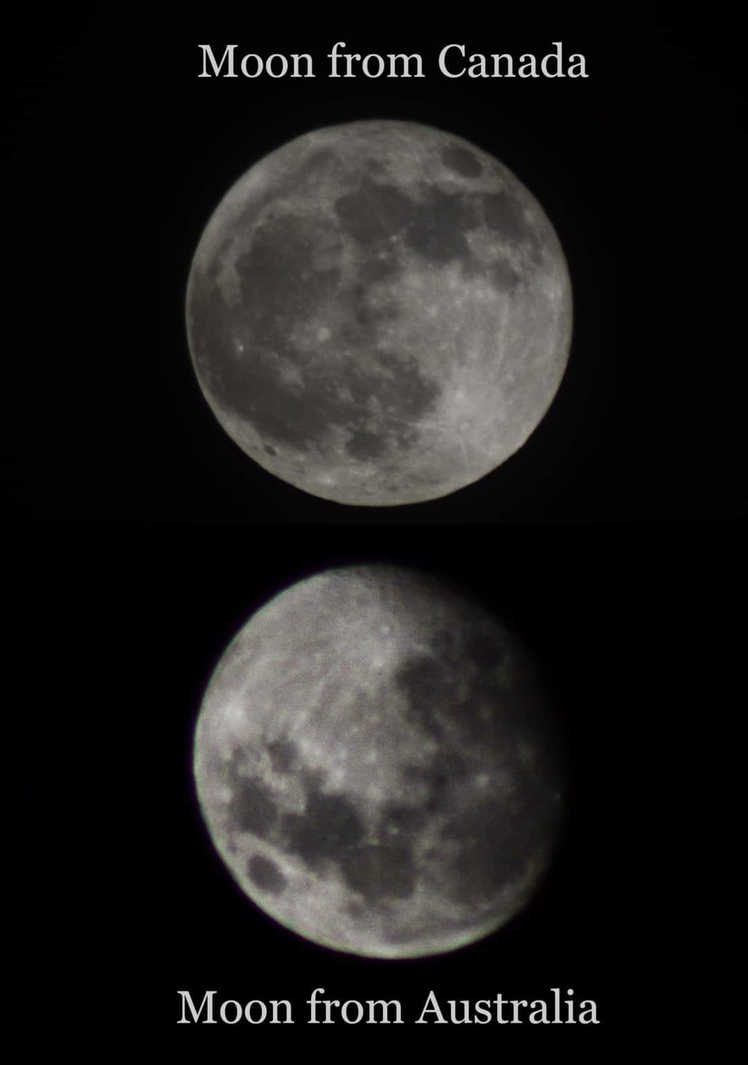 luna