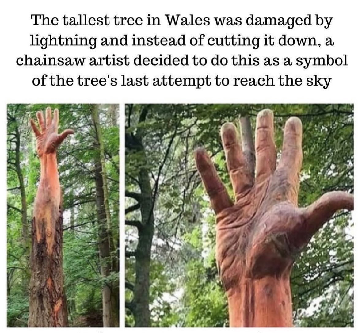 mano
