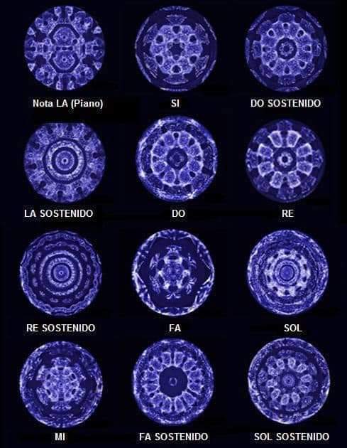 notas