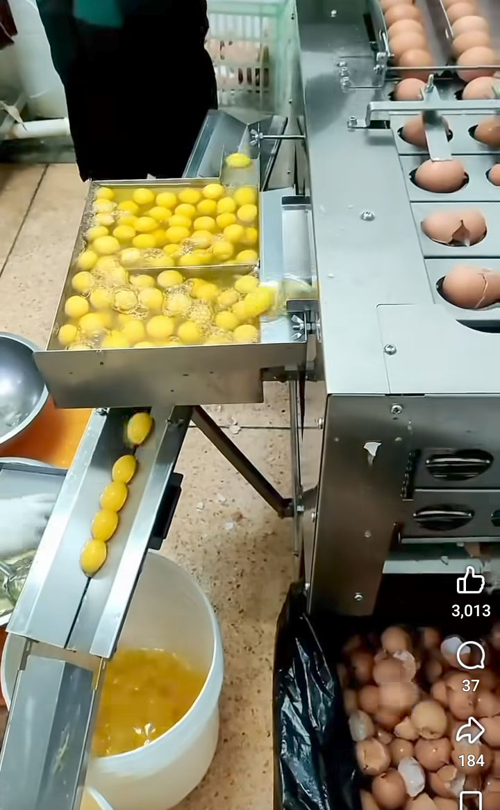 separadora, huevos
