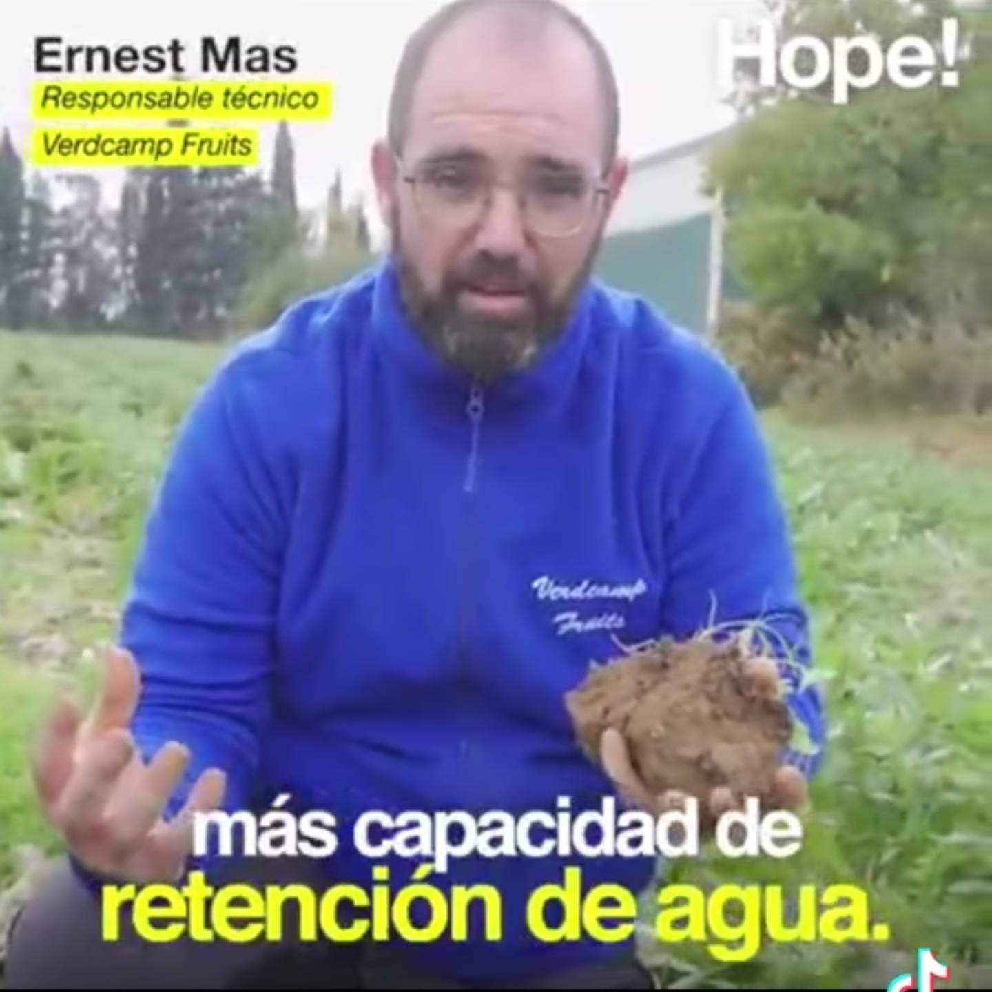 verdcamp, fruits